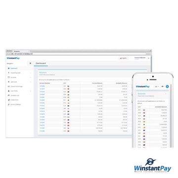 Picture of WinstantPay Merchant Wallet